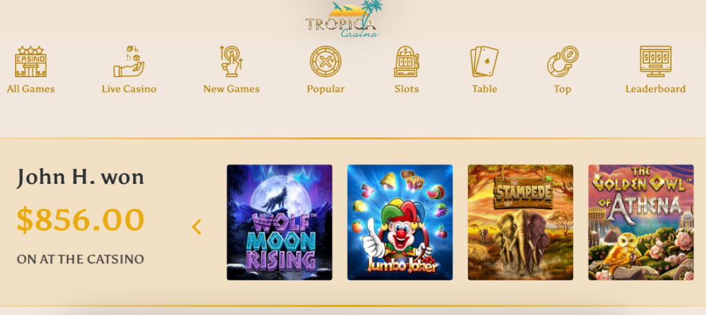 Tropica Casino Review and Rating 3